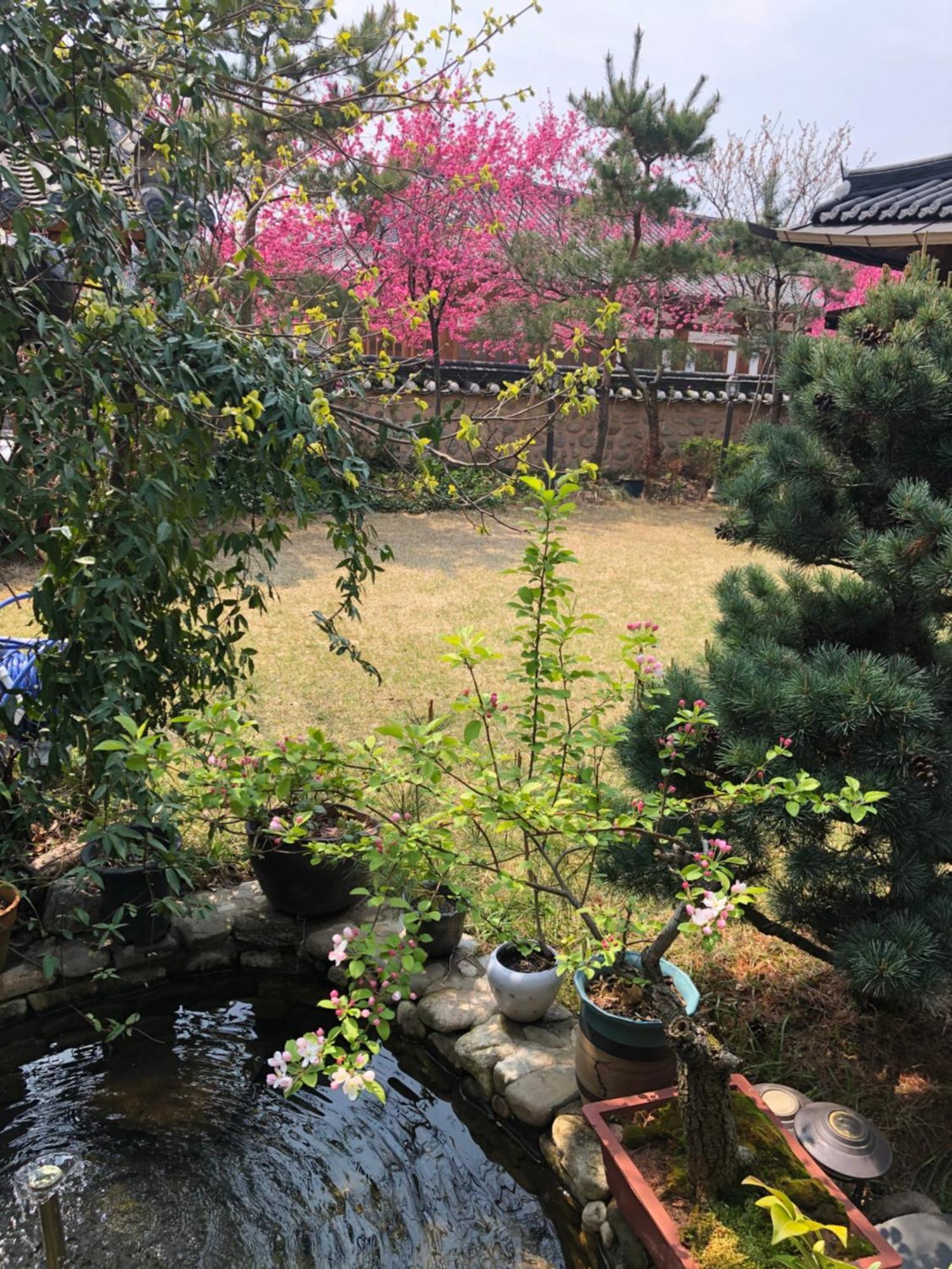 ホテル Buyongheon 全州市 エクステリア 写真